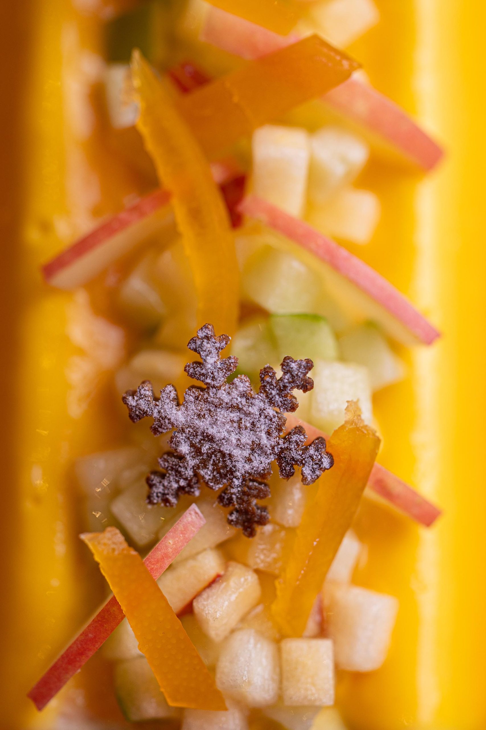 sipres-noel--pookiecookiestudio35-resize