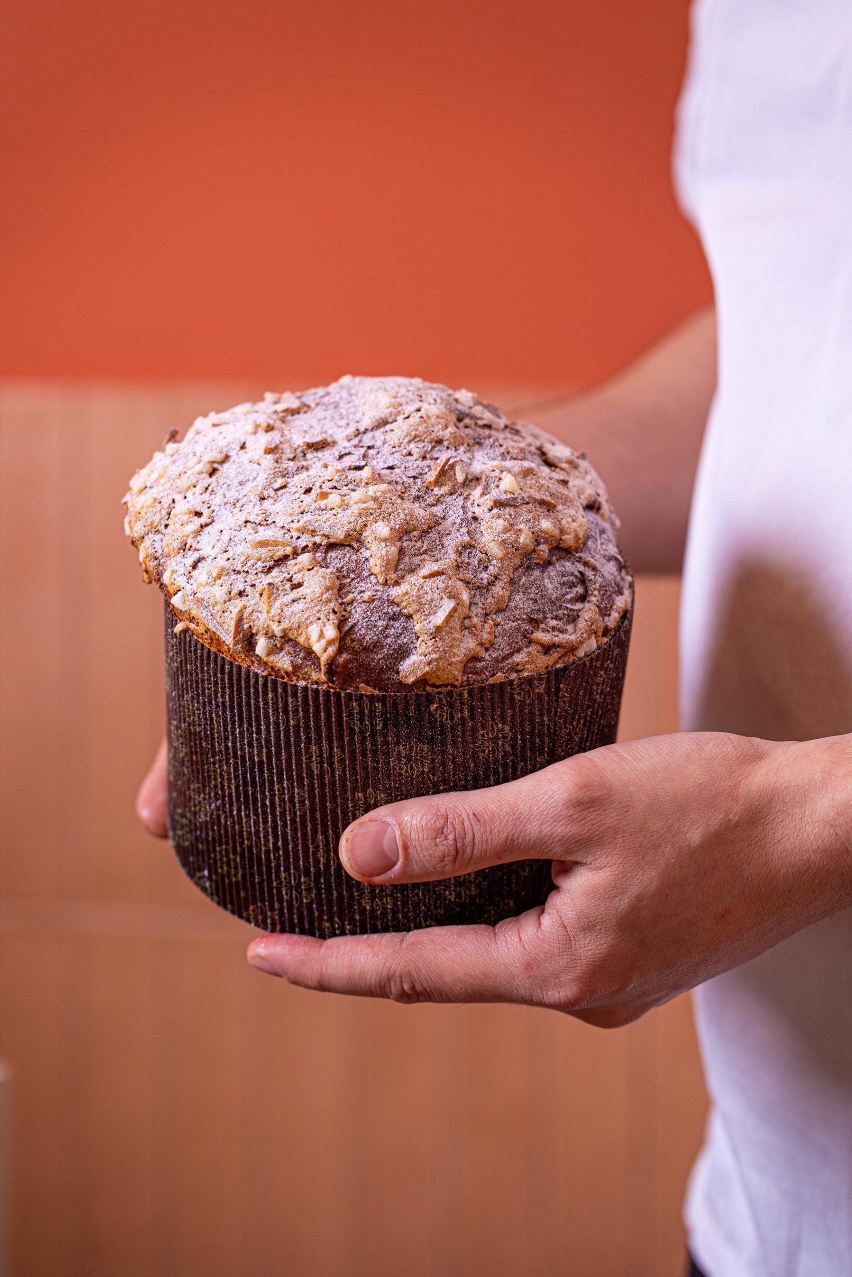 sipres-noel--pookiecookiestudio48-resize