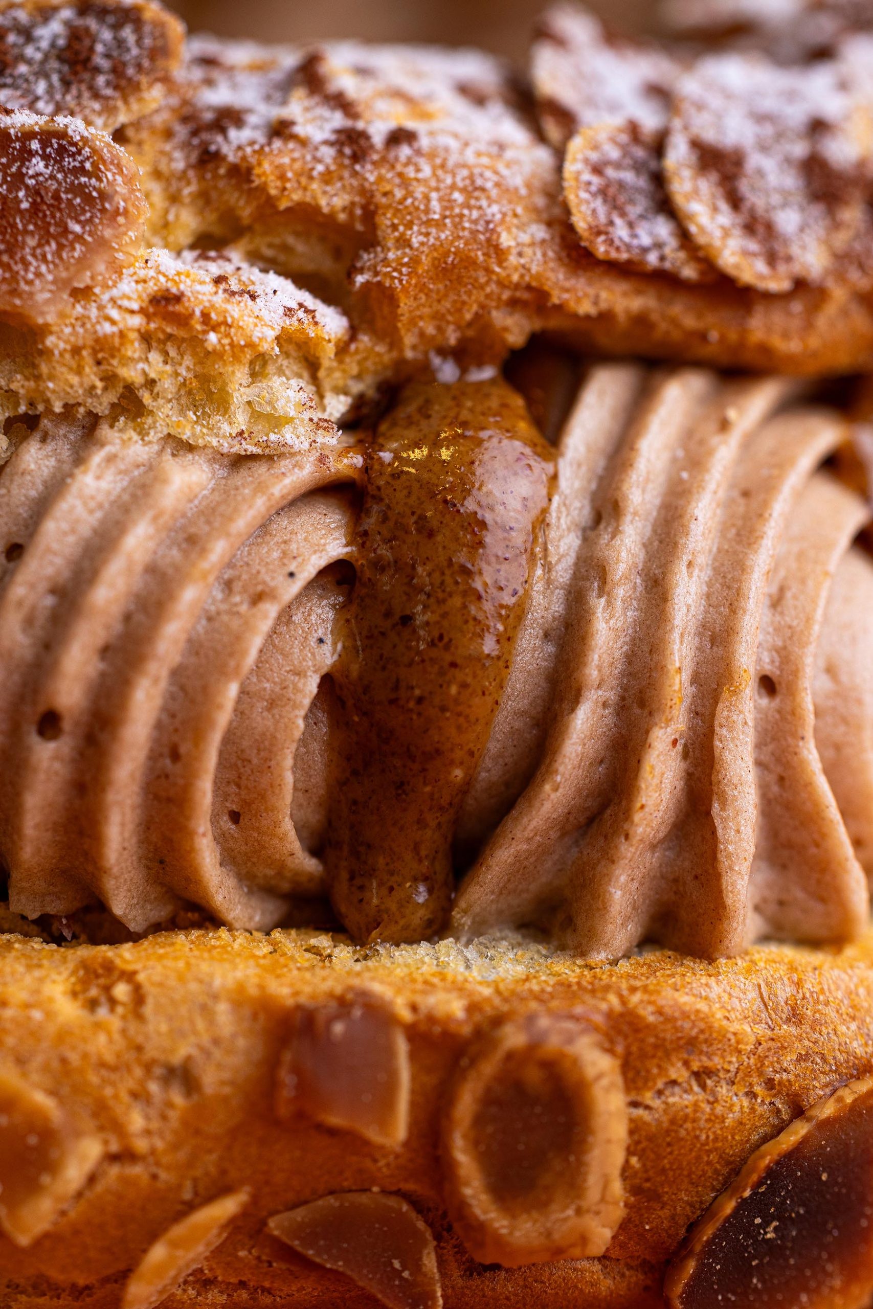 sipres-noel--pookiecookiestudio13-resize